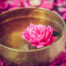 Ayurveda Blüte Wellness