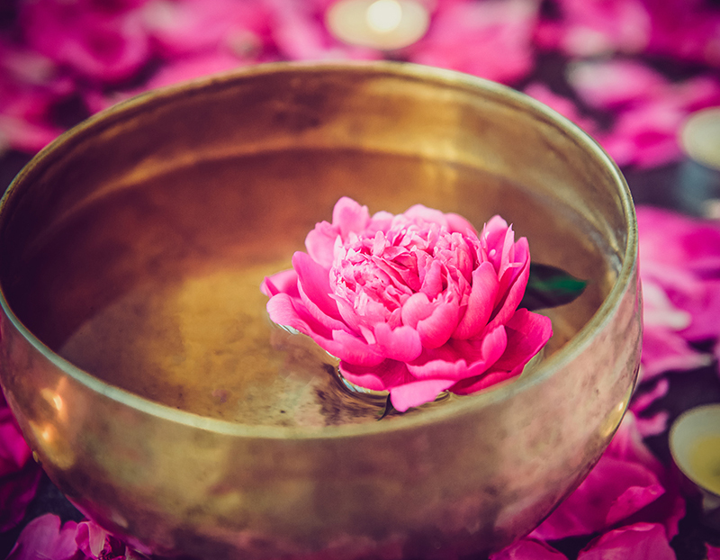 Ayurveda Blüte Wellness