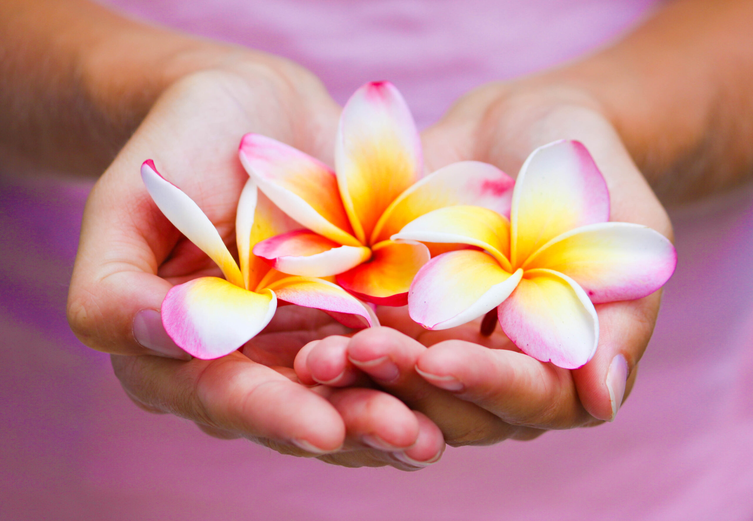 Day Spa Ayurveda