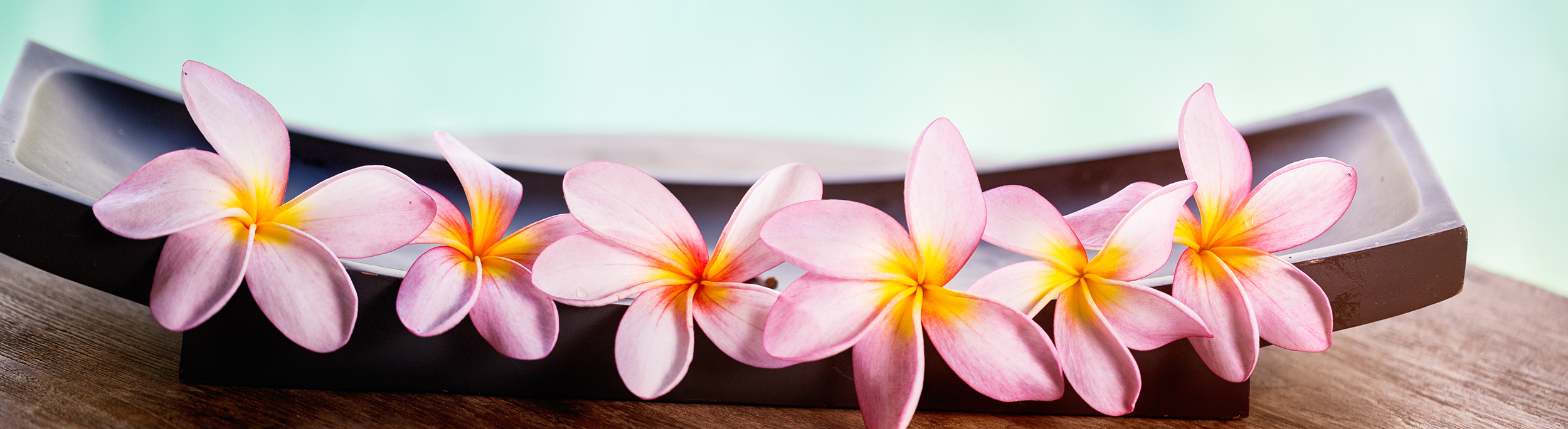 header ayurveda kur sri lanka