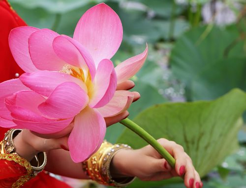 Unsere Tipps für die Dauer und Kosten eines Ayuveda-Retreats