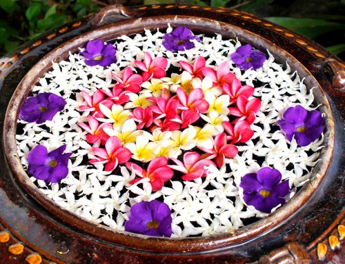 Ayurveda-Erfahrungen: Was bewirkt ein Ayurveda-Retreat wirklich?