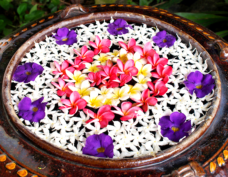 ayurveda