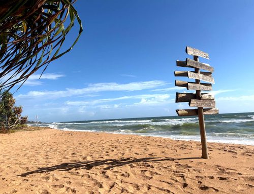 Ayurveda-Retreat in Sri Lanka im Winter: Der Kälte entfliehen und entschleunigen